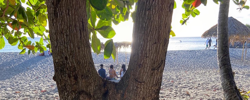 Urlaubsziel von City-Reisebüro Helga y Sol