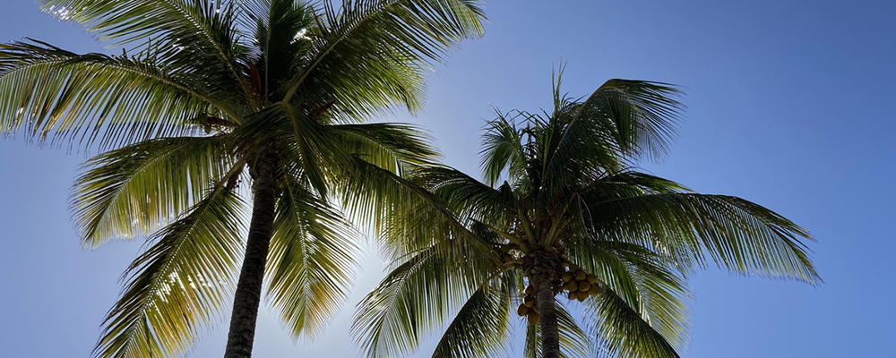 Urlaubsziel von City-Reisebüro Helga y Sol